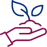 stremmata sporoparagwgis